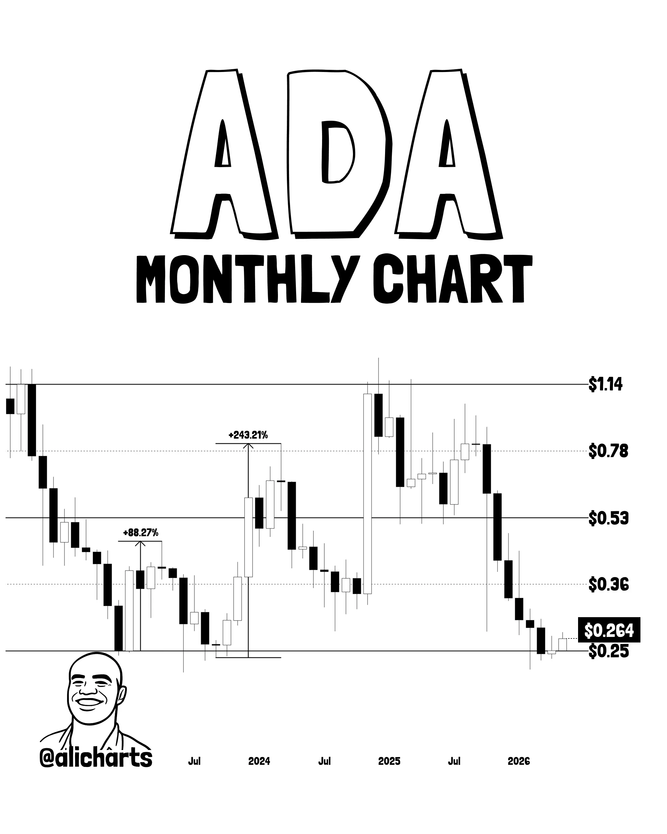 분석 "ADA, $0.25 지지 유지되면 다음 목표가 $0.36"