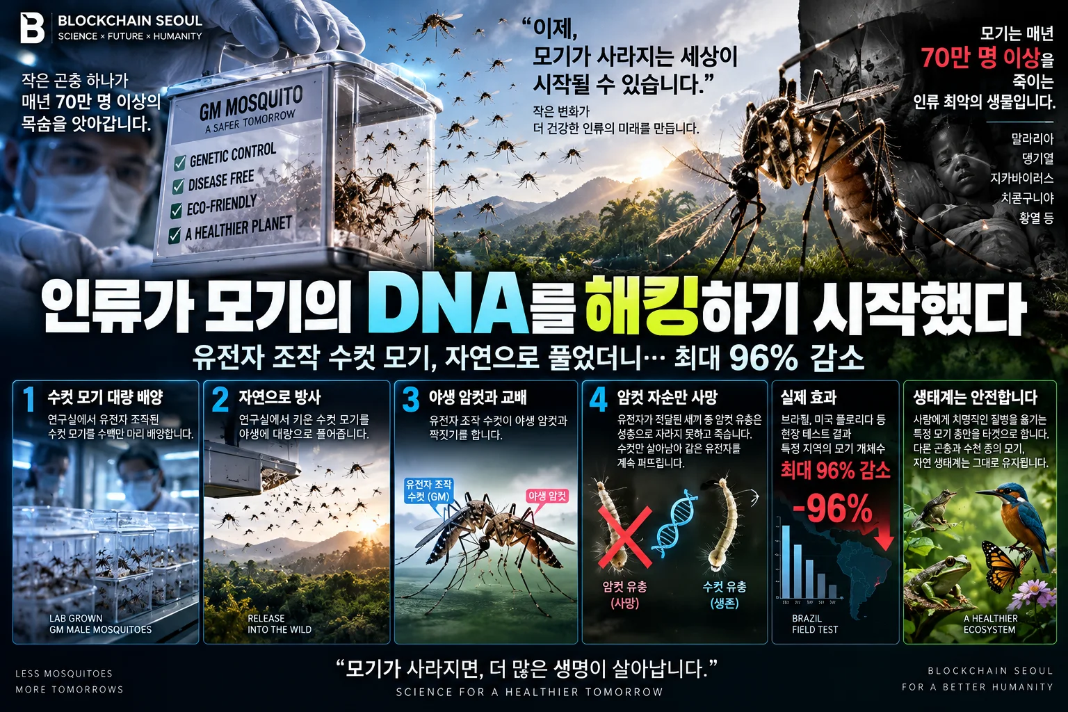 “모기를 스스로 멸종시킨다”…수백만 마리 ‘유전자 조작 수컷’ 풀었더니 벌어진 일